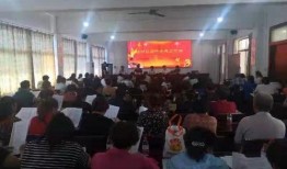 镇平新闻爆料事件最新进展,真相逐步浮出水面